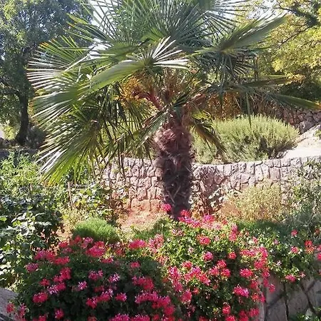 Busilak Apartament *